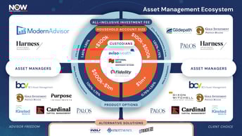 a PDF of the NOW ecosystem showing the relationship between client and portfolio manager