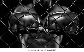 MMA Saint maur