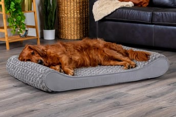 orthopedic memory foam dog bed for large dogs who sprawl