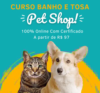 gato e cachorro