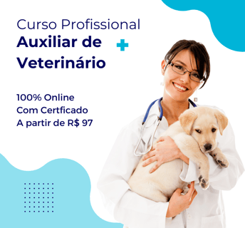 mulher segurando cachorro