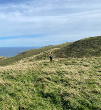 Entry Island