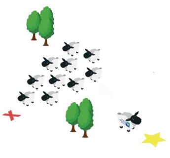 a flock of sheeps are in a flock of sheep