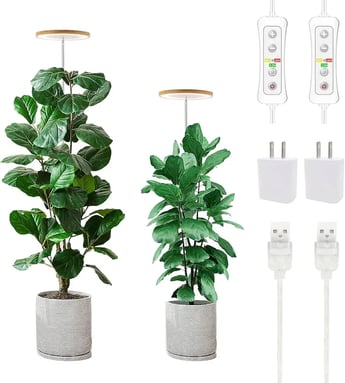 Maximizing Indoor Plant Growth with the Yadoker Plant Grow Light