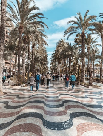 Passeig Esplanada d'Espanya - beautiful street - trees - 🌴 