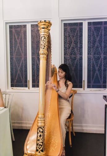 A harp solo performance for a wedding held at The Summerhouse restaurant