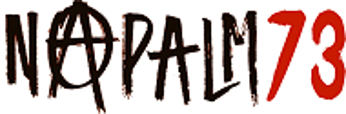 Napalm Systems logo