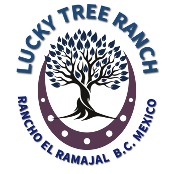 Lucky Tree Ranch logo