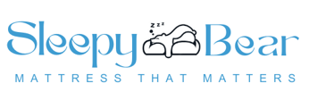 Sleepy Bear logo