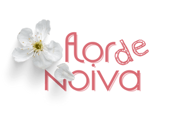 casamento e cia logo