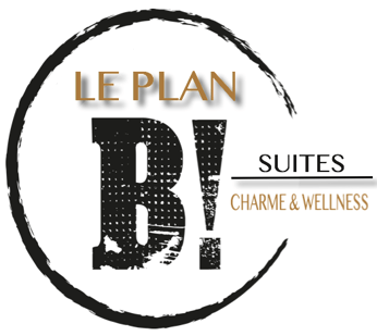 Le Plan B - Duplex de charme & Wellness - Binche logo