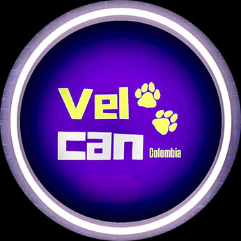 cachorros velcan logo