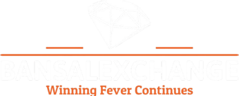 BANSALEXCHANGE logo