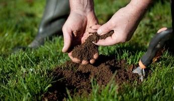 a person holding a piece of soil in their hands