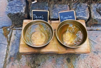Fun dog water bowls