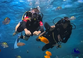 Schnuppertauchen Blue Horizon Diving Center Hurghada