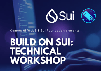 sui technical workshop