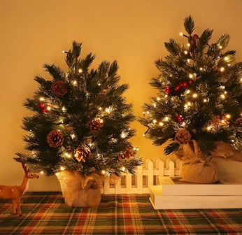 mini trees