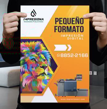 AvantiRed crea tabloides promocionales