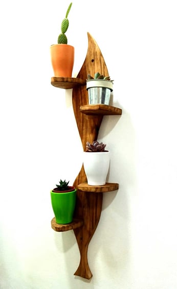 étagère bois pour cactus