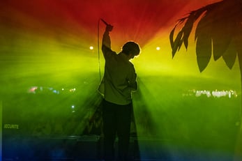 photographie de biggaranx en festival erva