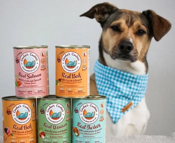 nourriture humide pour chien