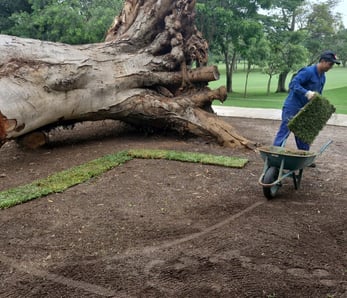 regularização ambiental