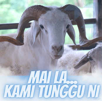 a goat with horns and horns is shown in this advertisement