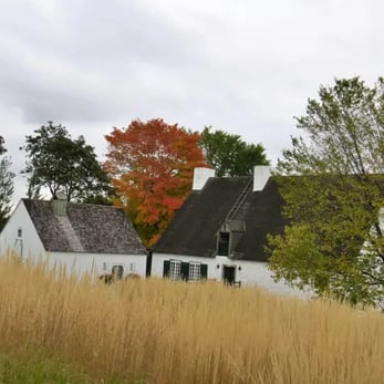 Moulin des Jésuites, blé.