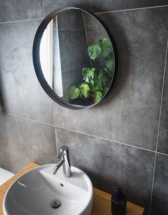 Miroir design, plante verte, carrelage noir pour un esprit design