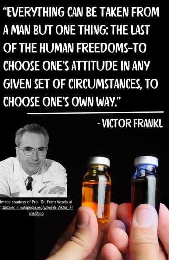 Victor Frankl quote about choosing your attitude to drive success in challenging situations.