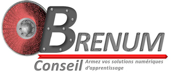 BRENUM-conseil logo