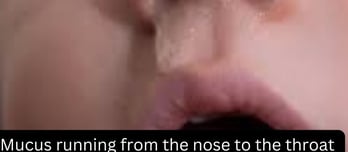 Mucus running from the nose to the throat 