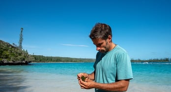 Nicolas Job looking at a seaweed, Ile des Pins, New Caledonia