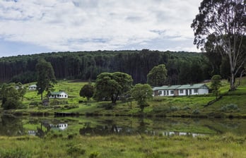 Chelinda Lodge Nyika Plateau, Malawi