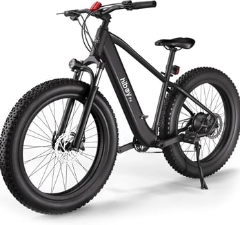 Hi-Boy Ebike