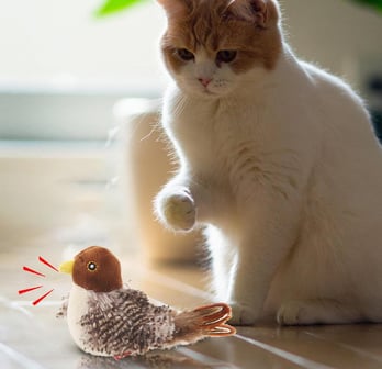 Oiseau gazouillant
