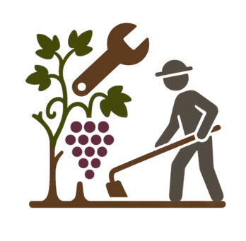 Mantenimiento de viñedos en Mallorca | Viñarts