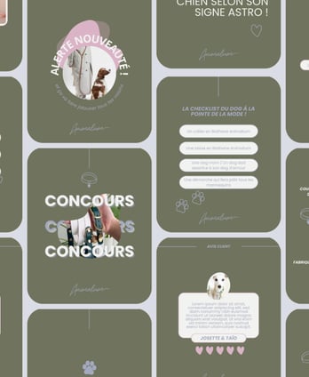 Feed Instagram pour la comm' de l'entreprise Animalium