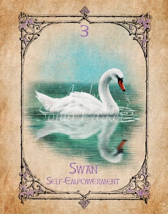 Swan Spirit Animal Card, Swan Spirit Animal, Art by Sonia Parker