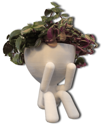 Pots de fleurs idée cadeaux