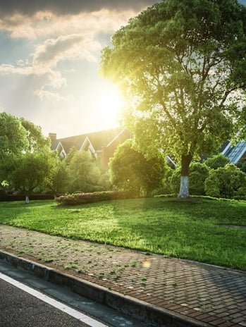 real-estate-photo-editing-lawn-replacement