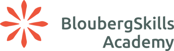 Blouberg Skills Academy logo