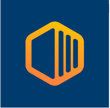 CONTAINER 163 logo