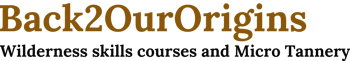 Back2OurOrigins logo