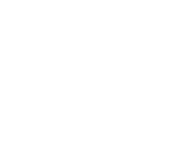 Nuoseklu.lt logo