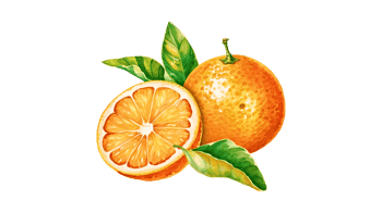 Studio Tangerine logo