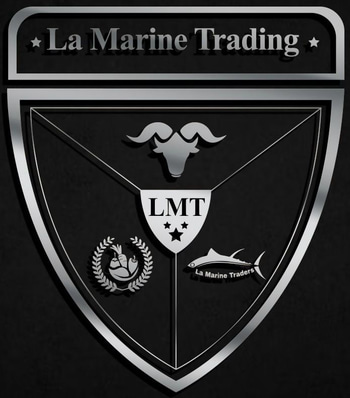 LMT logo