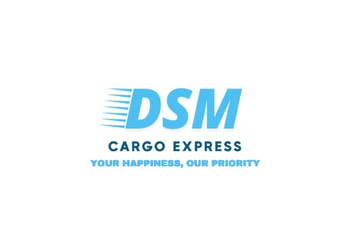 DSM Cargo Express logo