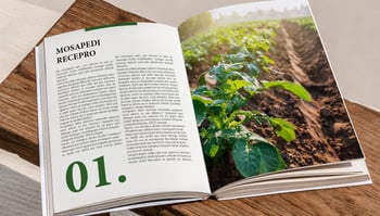 Magazine Mise en page Graphiste Haykantou 36